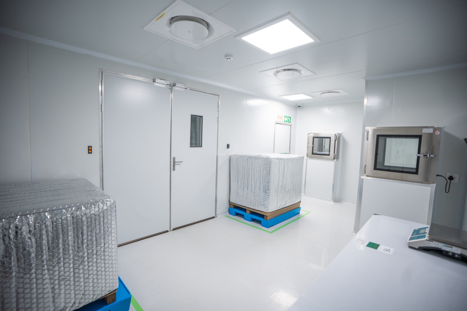 The receiving room with two wrapped pallets standing on blue pallet bases inside green floor demarcation, double doors behind and pass-through hatches to the right